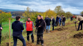 Les arbres à l'honneur pour la 30e fois