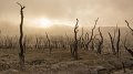 Les fortes concentrations de gaz à effet de serre marquent l'avènement d'une nouvelle réalité climatique, selon l'OMM