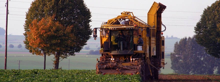 Lancement d’une Alliance mondiale pour une agriculture intelligente