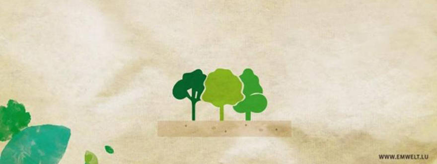 Ne ratez pas votre rendez-vous avec la mobilité et nos forêts à l’Oekofoire