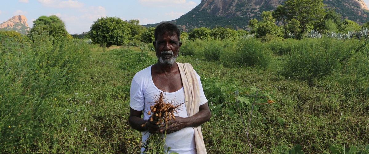 AEIN, environnement, développement durable, solidarité, justice climatique, sensibilisation, Aide à l’Enfance de l’Inde et du Népal, éducation et la formation professionnelle, la santé, l’agriculture, changement climatique, projets, eau potable