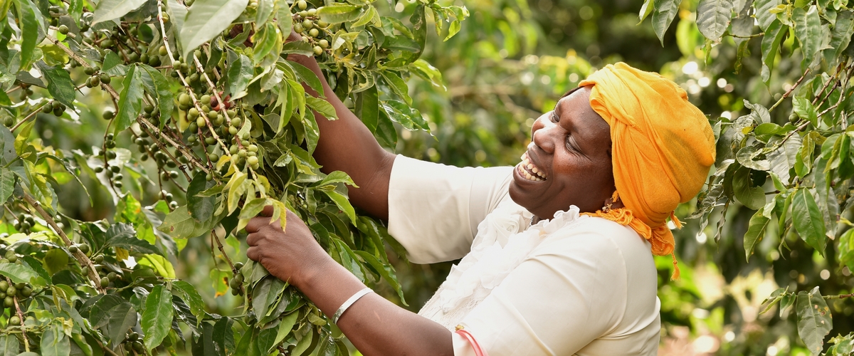 Fairtrade Luxembourg, commerce équitable, solidarité, objectifs de développement durable, revenu minimum, respect des droits de l’Homme, producteurs, consommateurs, sensibilisation, solidarité, juste prix, rémunération des agriculteurs, produits Fairtrade, conditions de travail, changement climatique, environnement