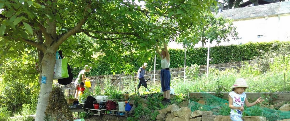 jardins communautaires, biodiversité, jardins urbains, flore, faune, Plantes sauvages, insectes, abeilles, oiseaux, préserver les ressources et les écosystèmes naturels, fertilité du sol, Agroécologie, permaculture, appauvrissement des écosystèmes, disparition d’espèces dans la nature, CELL