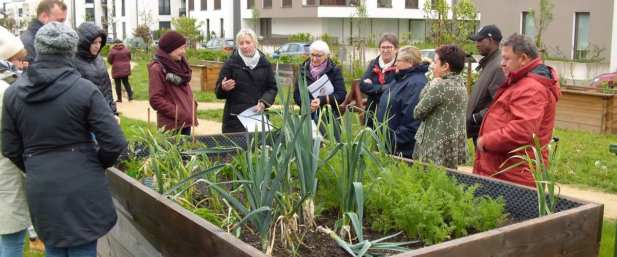projet « Urban Gardening », commission de l’environnement, jardinage urbain, Maison des Générations , environnement, consommation raisonnable des produits agricoles, biodiversité, Production respectueuse, plantation régulière d’arbres et de buissons, Retour ligne automatique gestion durable des cultures horticoles