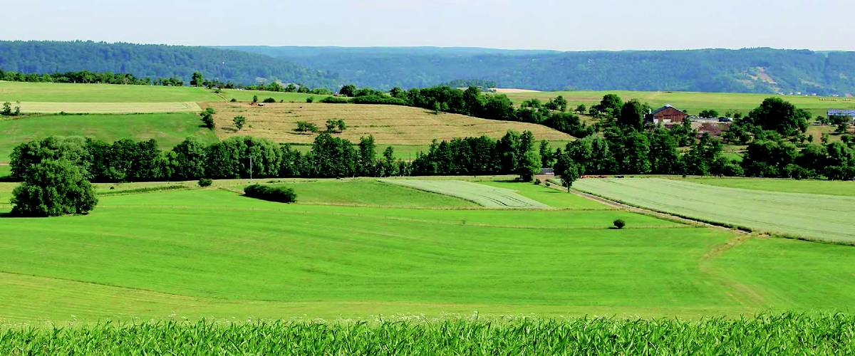 planification, Concevoir durable, consommation d’espace, L.S.C. Engineering Group, biodiversité, espèces, aménagement paysager, bandes vertes, prairies fleuries, zones de rétention d’eau de haute qualité écologique, toitures vertes, façades végétalisées peuvent fournir un habitat supplémentaire, espèces animales et végétales