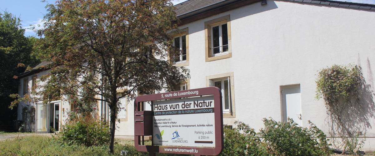 natur&ëmwelt, biodiversité, Organisation environnementale, sauvegarde de la nature, biodiversité locale, Fondation Hëllef fir d’Natur, réserves naturelles, problématiques environnementales, Maison de la Nature à Kockelscheuer, faune, flore