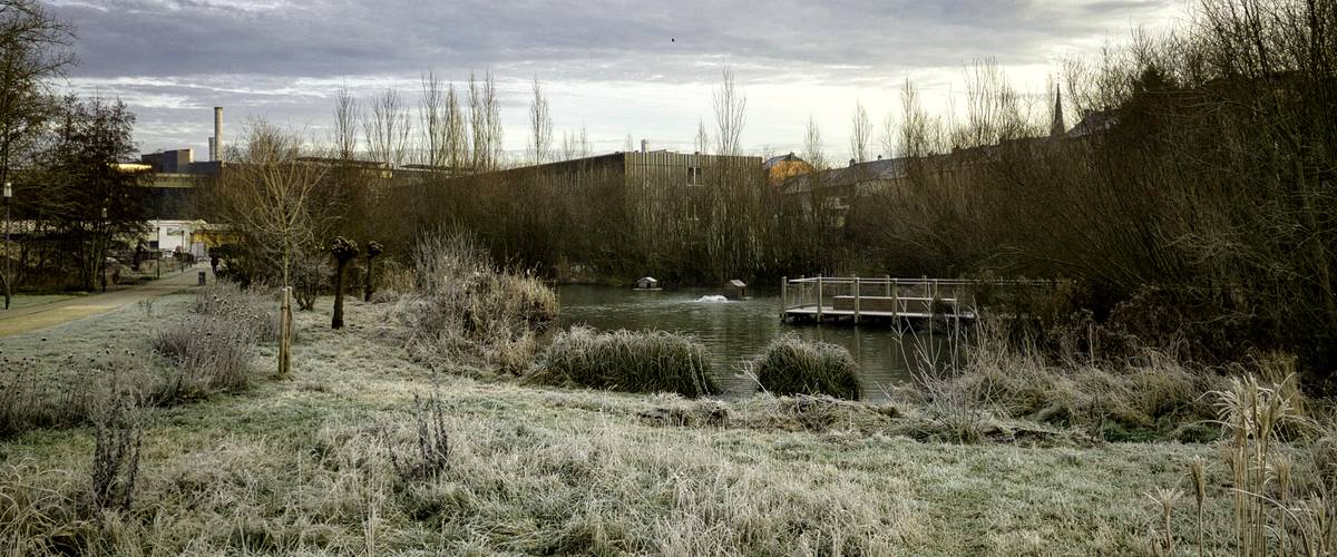 Ville de Diffredange, environnement , écologie, projets de développement, parcs renaturés, faune, flore, biodiversité, développement durable, service écologique de la ville de Differdange, réserve naturelle Prënzebierg, nature, arbres, habitat naturel