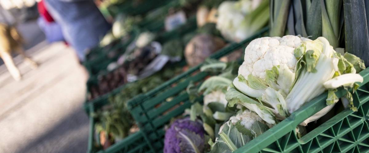 Prof. Rachel Reckinger, projet de recherche sur l’alimentation mené à l’Université du Luxembourg, Pratiques alimentaires durables, analyse systémique du paysage alimentaire, dynamique luxembourgeoise, projet de recherche « Sustainable Food Practices, pratiques alimentaires collectives, Conseil de la politique alimentaire pour le Luxembourg