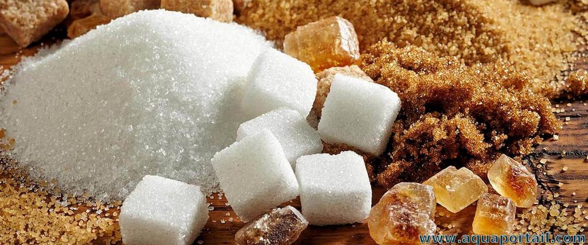 Wellbeing at Work, consommation de sucre blanc raffiné, effets sur l’organisme, aliments possédant des sucres cachés, alternatives naturelles, collaboration avec Food Vitalité, atelier en ligne, remplacer le sucre blanc dans votre alimentation, alimentation saine, conseils, coaching et formation continue en sécurité, santé et bien-être au travail