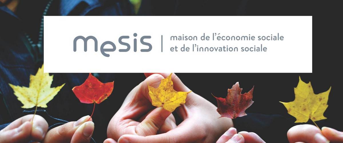 MESIS, le Ministère du Travail, de l’Emploi et de l’Économie sociale et solidaire, création d’entreprises à finalité sociale et/ou sociétale, Sensibilisation, information et formation, Espace de travail et d’échanges, Incubateur de l’Économie sociale et Solidaire, Maison de l’économie sociale et de l’innovation sociale