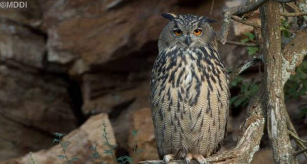 Nouvelles zones de protection Natura 2000