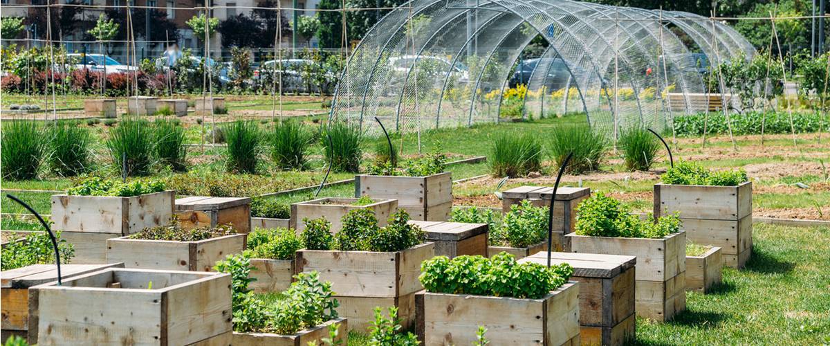 L.S.C. Engineering Group, Urban Farming, économie circulaire, urbanisation, ’agriculture urbaine, environnement, ville, campagne, qualité et proximité des aliments, protection des ressources en eau et en sol, richesse du paysage, connectivité écologique