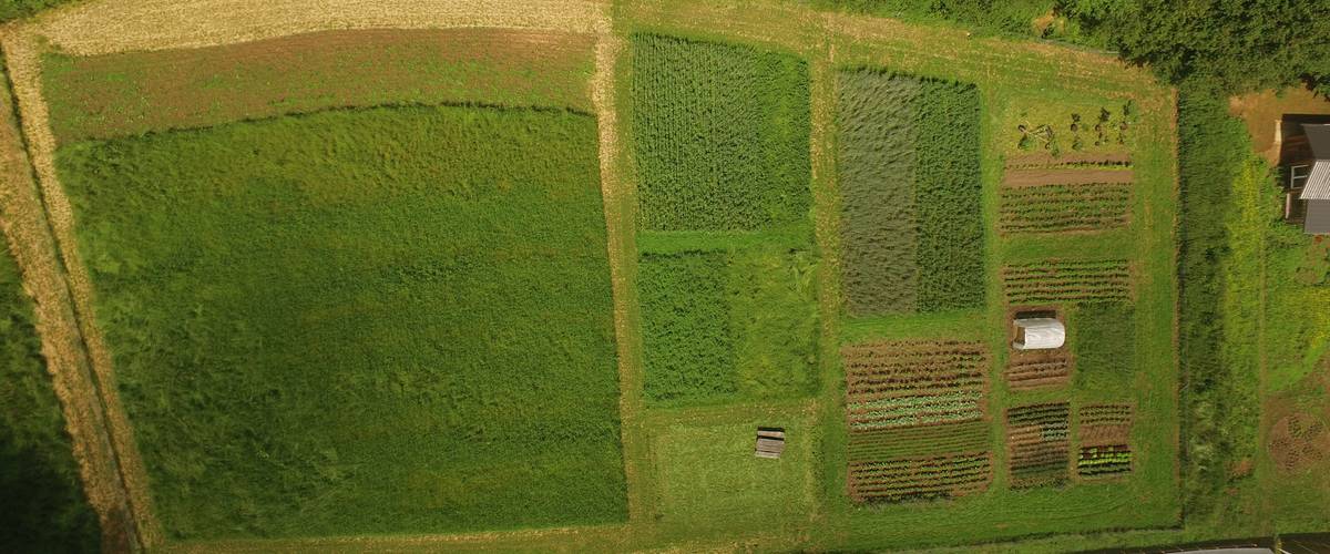 production biologique/biodynamique, gaspillage alimentaire, alimentation régionale, alimentation saine, équitable et durable, écologie, équité, natur&ëmwelt, environnement, santé, 2000 m2 pour notre alimentation, légumes et des produits locaux, climat