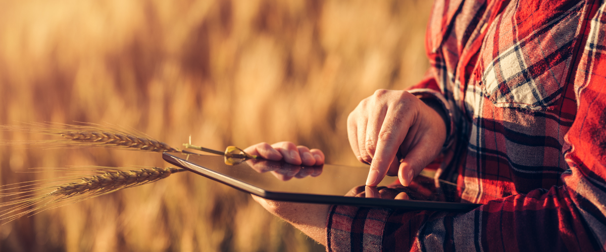 gestion des sols, agriculture raisonnée, gérer les terres intelligemment, alimentation, gaspillage, environnement, pollution, initiative « 4 pour 1000, limiter la hausse des températures, réchauffement climatique, Politique agricole commune, développement durable, sols fertiles