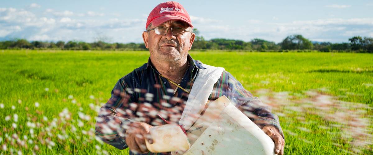 Fertilux, environnement, pollution, système 