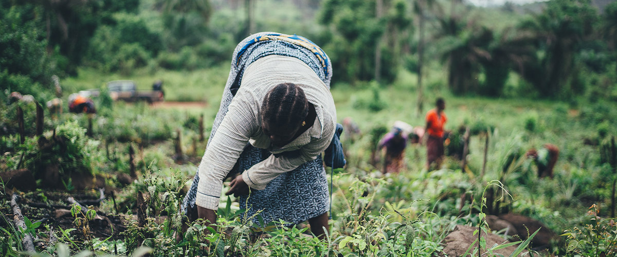 ADA, droits humains, renforcer localement des acteurs des chaînes de valeurs agricoles, petits exploitants agricoles, ONG luxembourgeoise spécialisée en finance inclusive, Direction de la coopération au développement et de l’action humanitaire luxembourgeoise, petits producteurs dans les pays en développement, impact durable