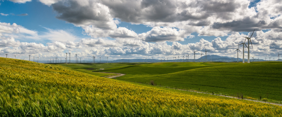 agriculture durable, environnement, pollution, changement climatique, développement durable, industrie agrolimentaire, qualité, gouvernement, commerce local, protection de l’environnement, impact sociologique, consommation, équité