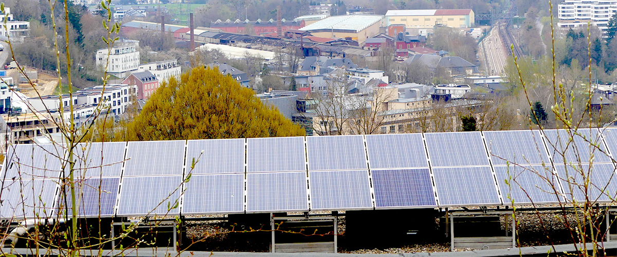 Eurosolar Lëtzebuerg asbl, consommation d’énergie, réduire l’impact de la crise climatique, raison d’agir, production photovoltaïque, réhabilitation des sols, mobilité, rénovation, consommation électrique, énergies renouvelables, crise climatique