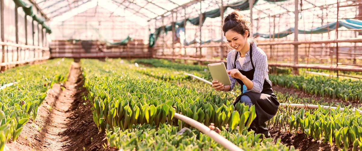 produits d’investissement axés sur la durabilité, durabilité, rôle du Luxembourg dans la transition vers la finance durable, investissements des secteurs public et privé, économie mondiale plus durable et inclusive, problématiques environnementales ou sociales, Grant Thornton Luxembourg