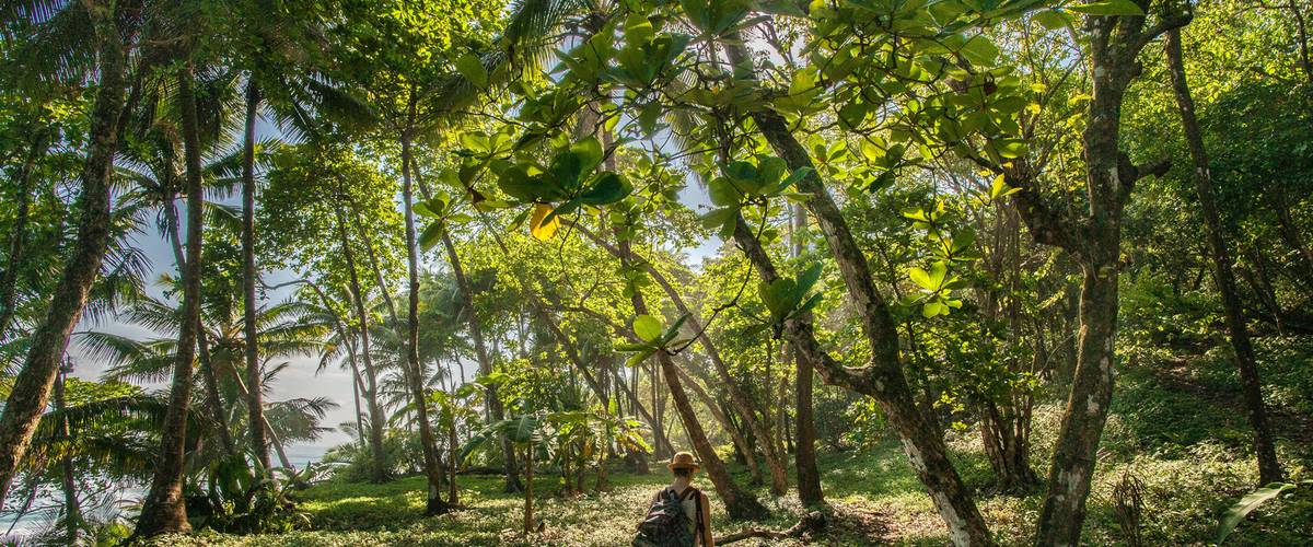reforestation, reboisement, arbre, bois, protection de l’environnement, Etika, ASTM, programmes au Costa Rica, programmes au Togo, entreprises durables, restauration d’écosystèmes, préservation de territoires, populations locales, Rainforest.lu