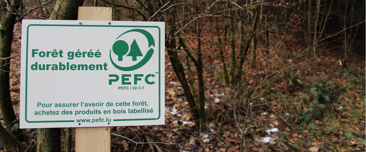 La gestion durable de la forêt selon les critères PEFC