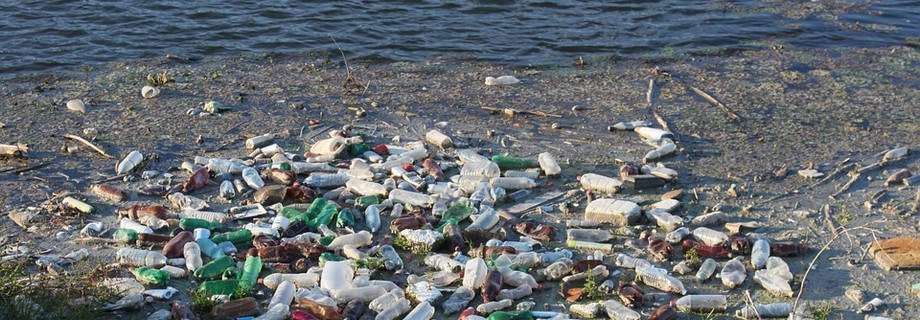 L'insalubrité de l'environnement provoque 12,6 millions de décès par an