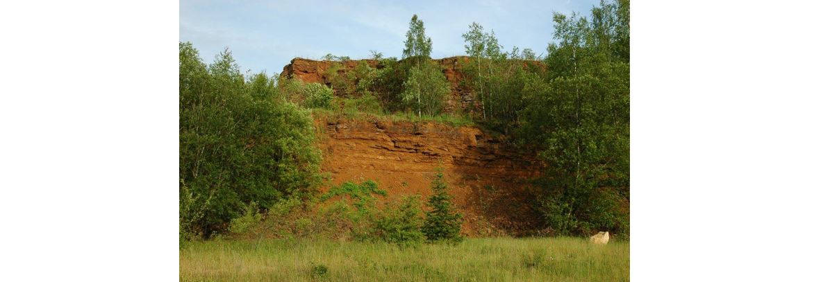 La nature autour de Differdange réserve plus d'une surprise aux visiteurs !