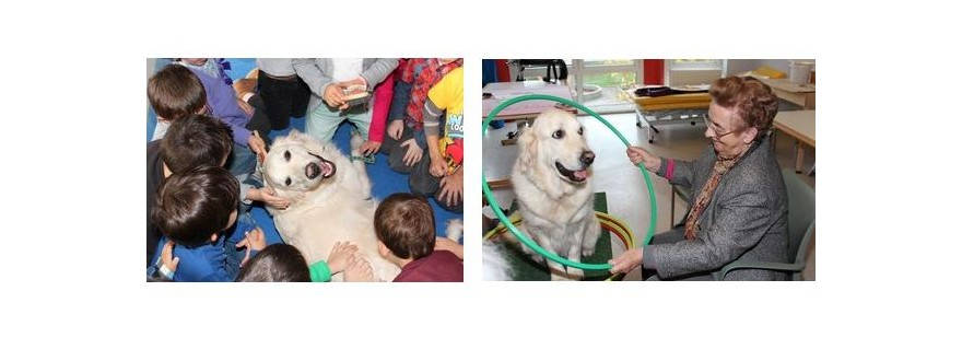 Une belle leçon de recyclage et de solidarité intergénérationnelle !