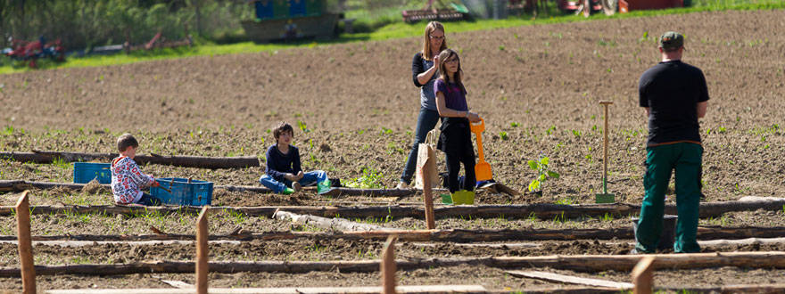 Le jardin collectif Equigaart à Junglinster récompensé par le Fonds du Groupe Delhaize