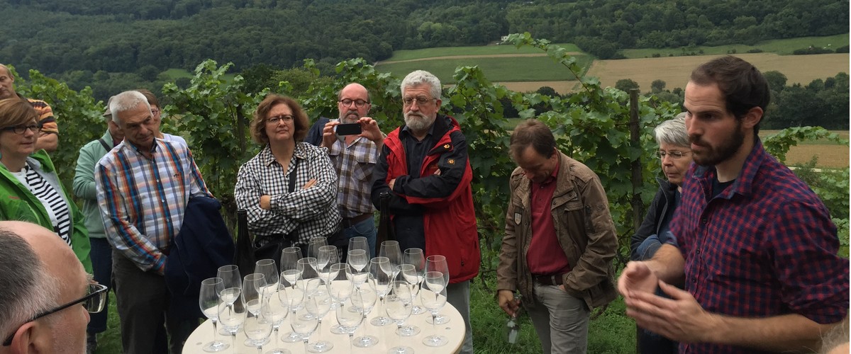 Slow Food : consommer bon, propre et juste