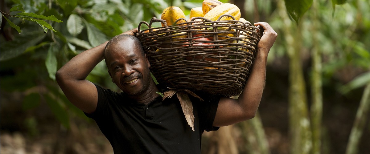Fairtrade : changer le commerce, c’est changer des vies