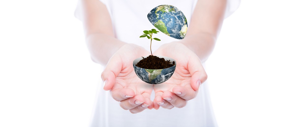 Alimentation : cultiver en s’inspirant de la nature