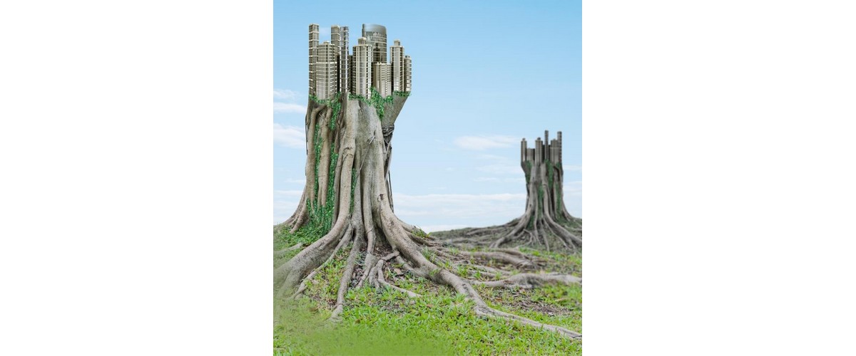 Biomimétisme – Biomimicry : How to push buildings to a step further ?