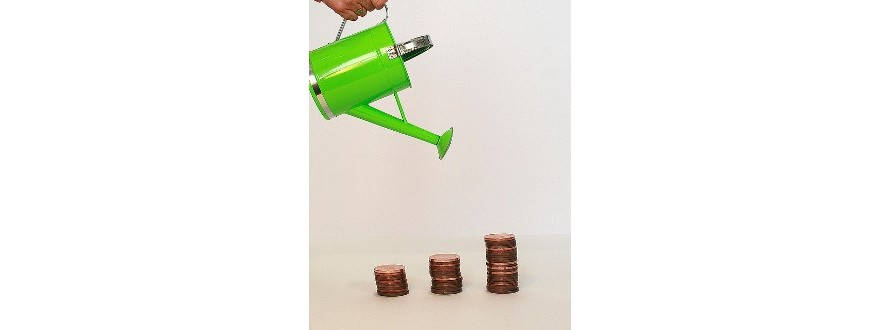 Les entreprises du CAC40, mauvaises élèves dans la prise en compte de la biodiversité