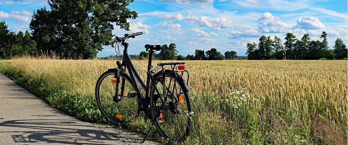 Un parc de vélo gratuit pour les Saverdunois