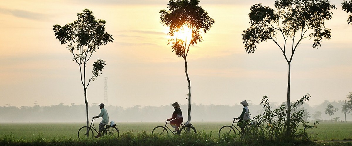 Le vélo partagé « intelligent » fait un véritable carton en Chine