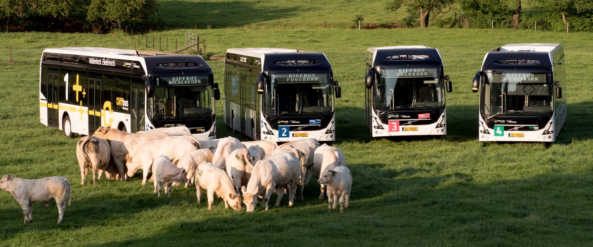 Gratuité des transports publics, une partie de la solution