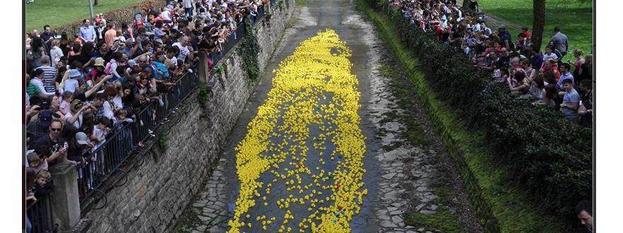 La Pétrusse aux petits canards le temps d’une journée de solidarité !