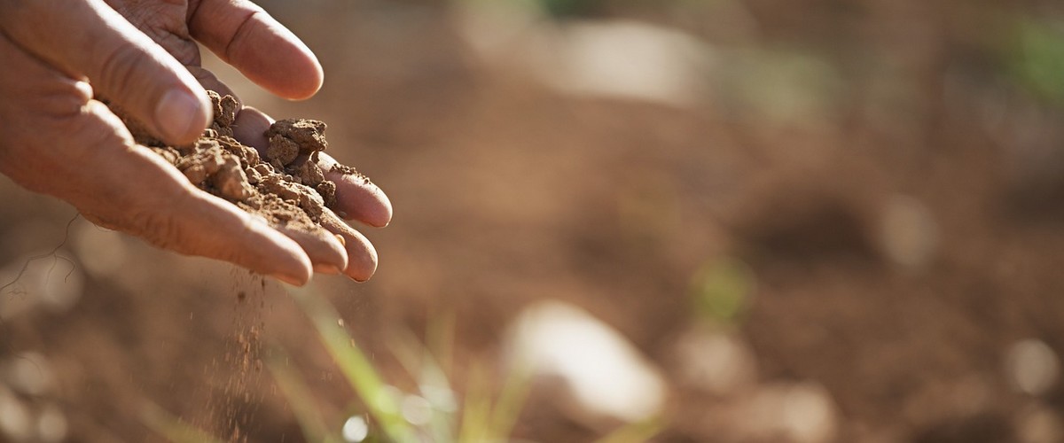 Le sol fertile, épuisement, agriculture biologique, fertilité du sol