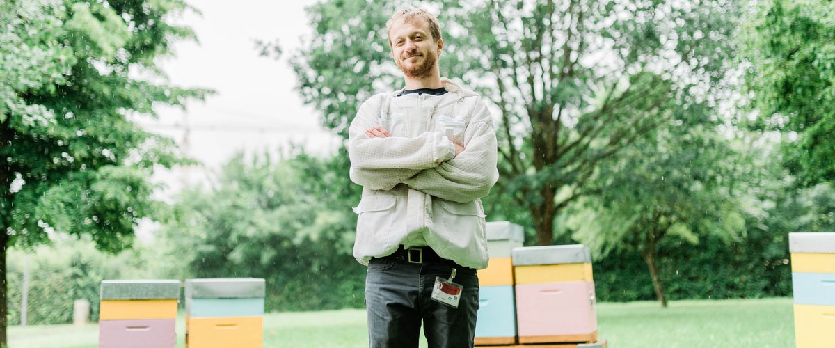 Hunnegkëscht, abeilles, environnement, Hugo Zeler, installation de ruches, entreprises, ville, pollinisateurs, miel, apiculture, toit