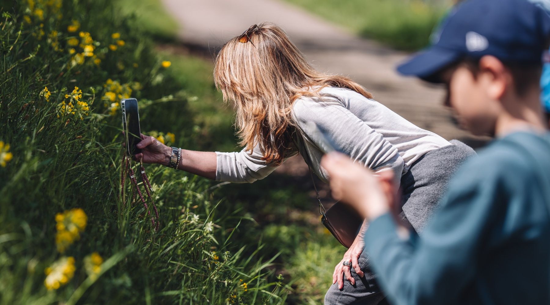 Avec iNaturalist, répertoriez en prenant des photos, le plus grand nombre possible de plantes, d'animaux et d'insectes