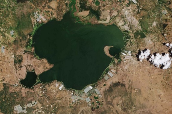 Image satellite du lac Naivasha, vallée du grand rift, Kenya, octobre 2017. Les couleurs vertes montrent la croissance de la végétation autour des centres horticoles et agricoles, fortement concentrés autour du lac et formant l'épine dorsale de l'économie kenyane. (Photo de Sentinel-2 MSI, Agence spatiale européenne)