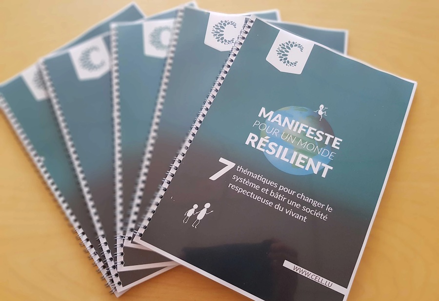 Le Manifeste politique de CELL a été diffusé peu avant les élections législatives pour faire connaître les positions du mouvement