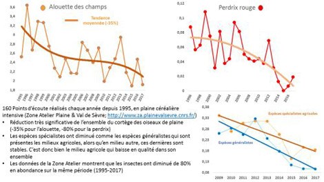 © DR Résultats CNRS sur de la Zone atelier « Plaine et Val de Sèvre »