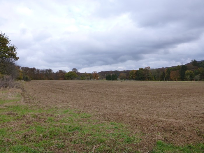 Plateau-Schlassbierg-Ansembourg