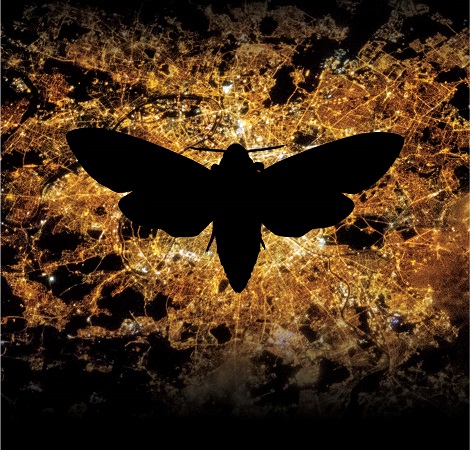 Vue de Paris la nuit depuis la station spatiale internationale et ombre d'un papillon de nuit. © Fabio Scappi