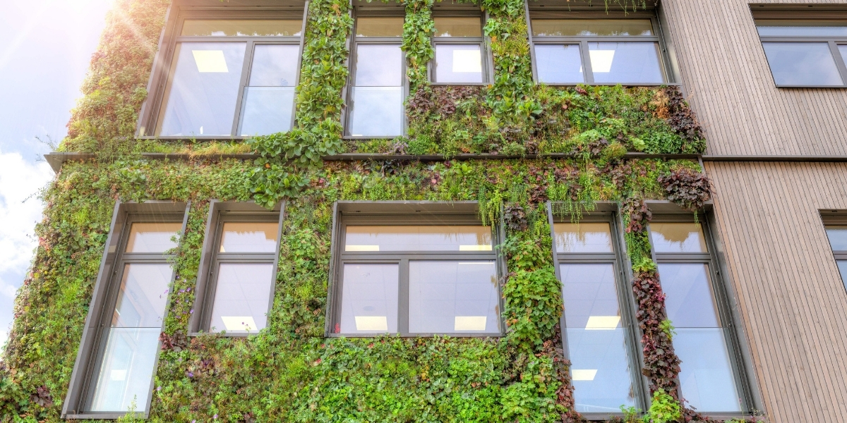 Végétalisation de la façade en combinaison avec une façade en bois à l'école Reinoldi-Gesamtschule de Dortmund.