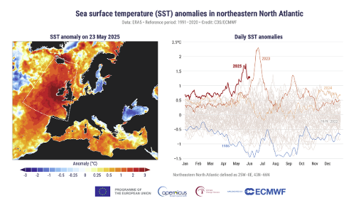 (A gauche) Anomalie quotidienne de température de surface de la mer (SST) (°C) le 23 mai 2025, pic d'une vague de chaleur marine dans le nord-est de l'océan Atlantique Nord, par rapport à la moyenne de la période de référence 1991-2020. La boîte blanche en pointillés montre le domaine utilisé pour calculer la série temporelle à droite. (A droite) Anomalies quotidiennes de la TSM (°C) moyennées sur la région nord-est de l'Atlantique Nord (25°W-0°E, 43°N-66°N) de 1979 au 31 mai 2025. Les années suivantes sont mises en évidence en couleur : 1986 (bleu), 2023 (rouge moyen), 2024 (rouge clair) et 2025 (rouge foncé). Toutes les autres années sont représentées en gris. Source des données : ERA5. Crédit : C3S/ECMWF