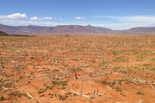 Terres stériles en raison de la sécheresse provoquée par El Niño dans le pays d'Afrique australe du Lesotho. Crédit : FAO