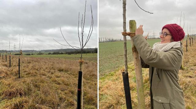 Sur le terrain pour planter des haies à Roeser (2021).